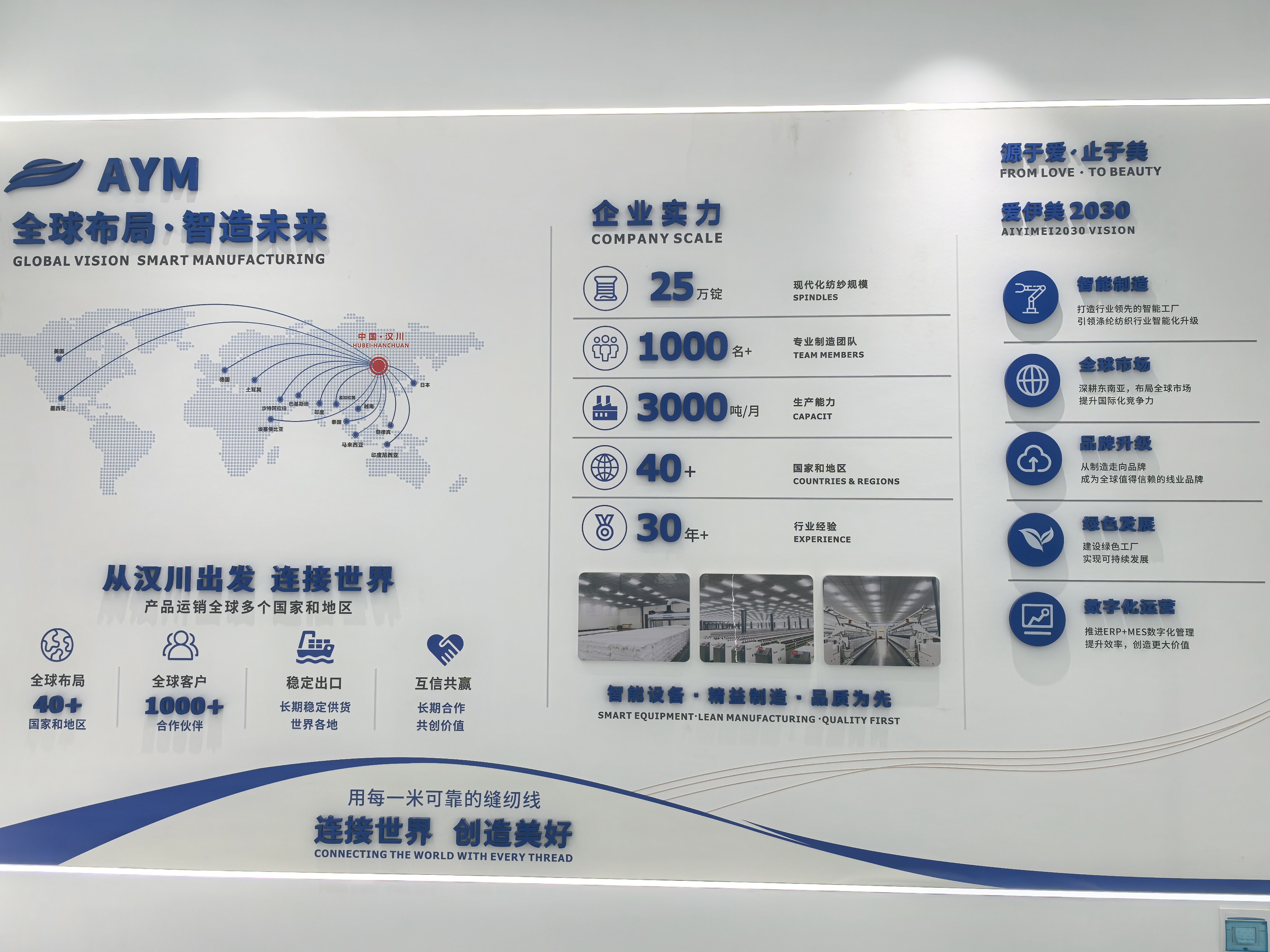 AIYIMEI global vision and company scale wall